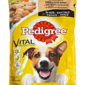 PEDIGREE POUCH ADULT CHICKEN IN GRAVY 100G