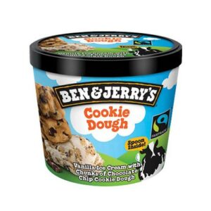 BEN & JERRYS CHOC FUDGE BROWNIE 100ML