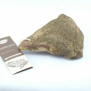 FIORUCCI GUANCIALE