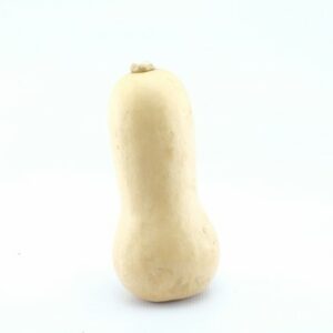 BUTTERNUT SQUASH