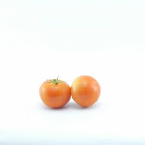 TOMATOES