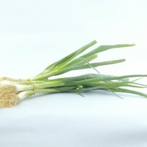 ONIONS SPRING BUNCH