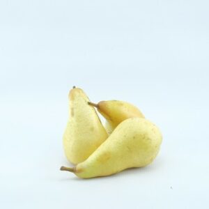 PEARS ABATE WILLIAMS