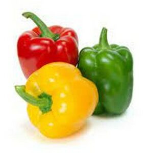 CAPSICUM COLOURED PEPPERS