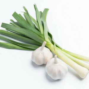 GREEN GARLIC