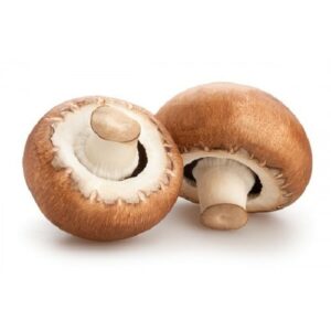 MUSHROOMS BROWN