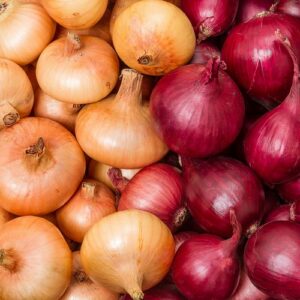ONIONS YELLOW/RED