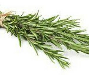ROSEMARY PACK